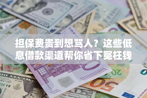 济南担保费贵到想骂人？这些低息借款渠道帮你省下冤枉钱