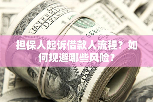 济南担保人起诉借款人流程？如何规避哪些风险？