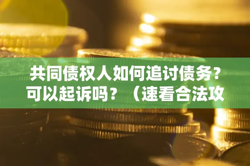 济南共同债权人如何追讨债务？可以起诉吗？（速看合法攻略）