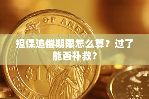 济南担保追偿期限怎么算？过了能否补救？